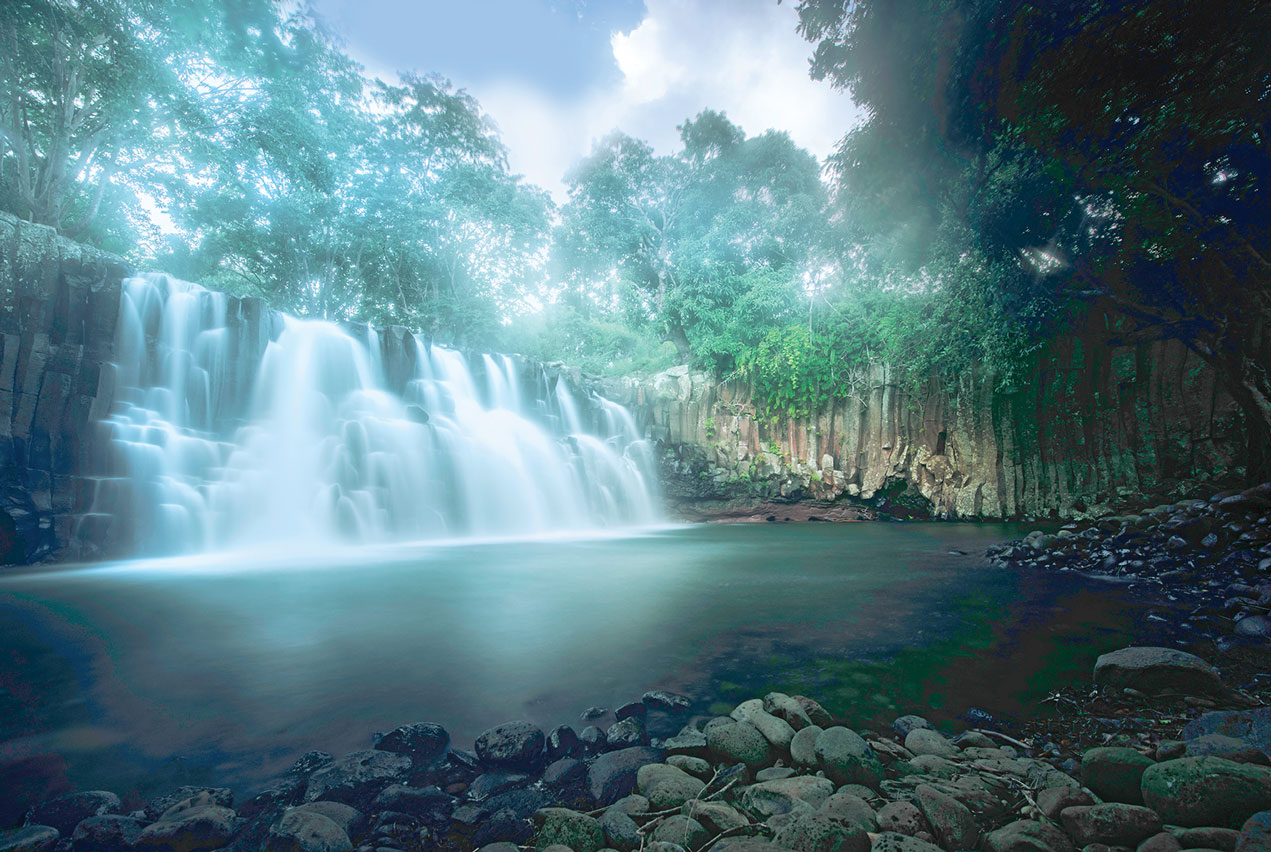 Waterfall in a forest